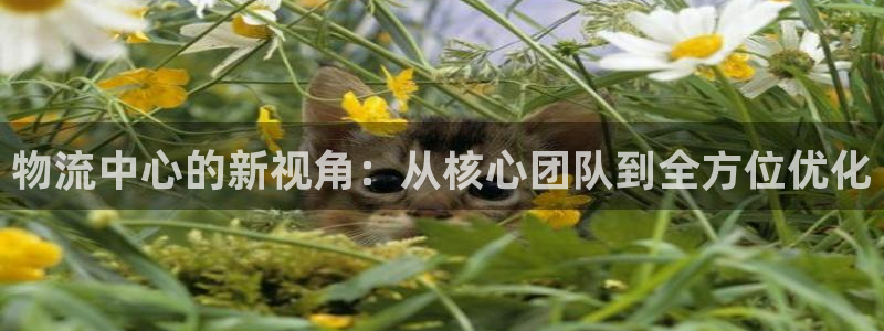 超凡国际自行车搞笑图片：物流中心的新