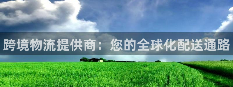 超凡国际官方版正版：跨境物流提供商：