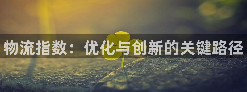 超凡国际代理落网：物流指数：优化与创