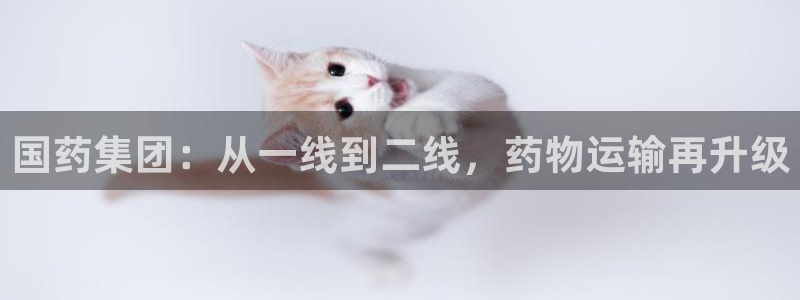 超凡国际自行车图片大全：国药集团：从