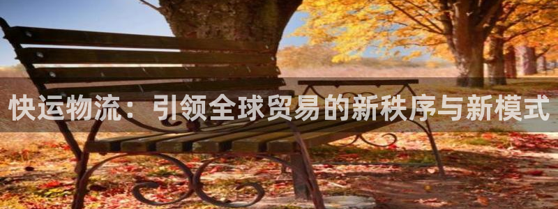 超凡国际p扣除是什么意思：快运物流：