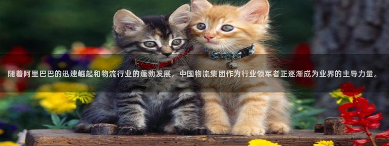 超凡国际充值不处理怎么办：随着阿里巴