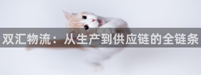 超凡国际注册登录流程：双汇物流：从生