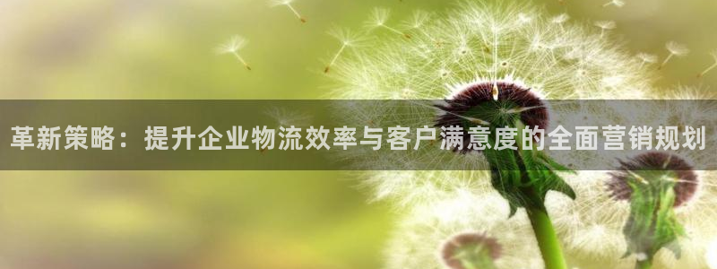 超凡国际黑平台吗：革新策略：提升企业