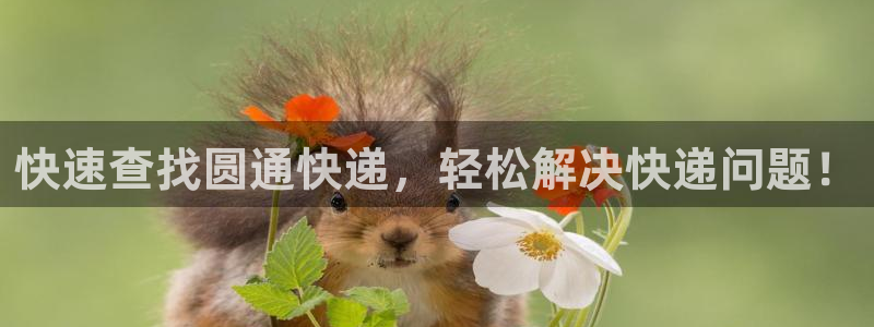 南宫超凡国际怎么注册：快速查找圆通快