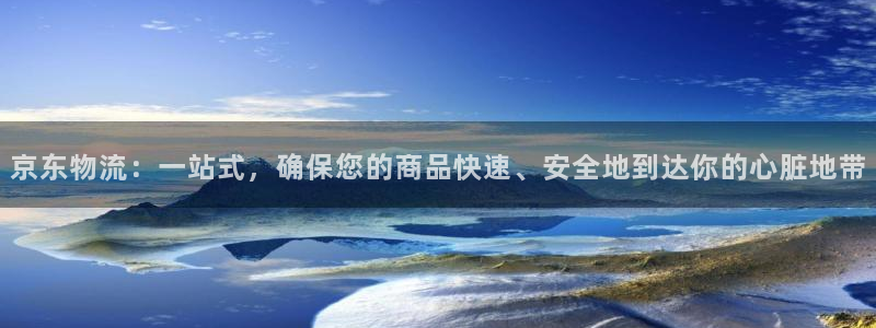 超凡国际链接：京东物流：一站式，确保