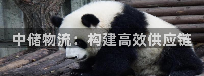 超凡国际官网开奖结果预测：中储物流：