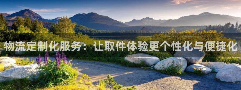 超凡国际提款一直没到：物流定制化服务