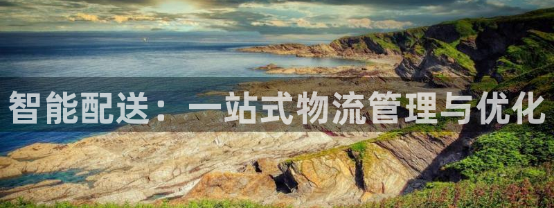 超凡国际软件是什么：智能配送：一站式
