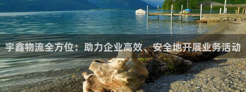 超凡国际口：宇鑫物流全方位：助力企业