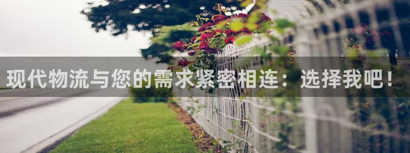 自行车超凡国际是什么意思：现代物流与