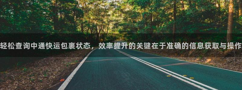 超凡国际软件堵什么反什么：轻松查询中