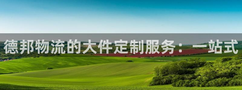 超凡国际官网入口pc正版：德邦物流的