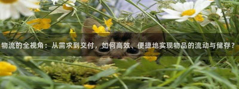 超凡国际赌博被抓：物流的全视角：从需