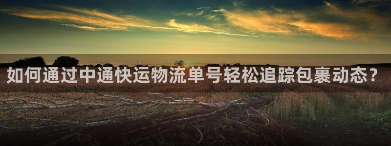 超凡国际免费：如何通过中通快运物流单号轻松追踪包裹动态？