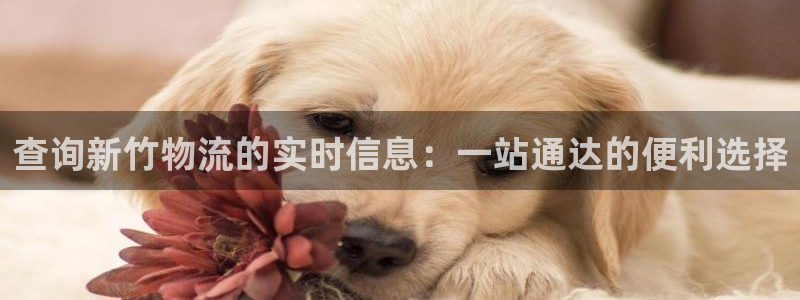 超凡国际游戏官网版:查询新竹物流的实