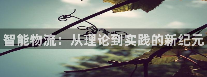 超凡国际cn：智能物流：从理论到实践