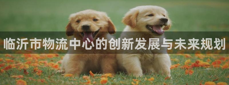 超凡国际软件：临沂市物流中心的创新发展与未来规划