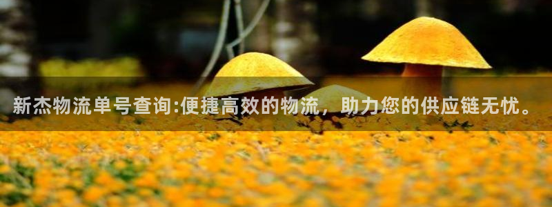 超凡国际注册入口与教程：新杰物流单号