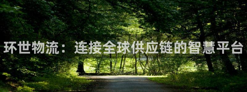 超凡国际能赢钱吗:环世物流:连接全球