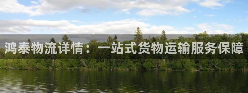 超凡国际链接多少：鸿泰物流详情：一站